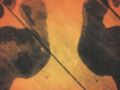 footprints 960x380